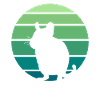 Degu rodent