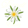 Edelweiss Wiesen Trachten