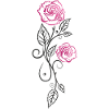 Rose Rose Vine Pink