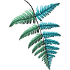 Fern Fern Leaf