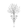 Yggdrasil Lebensbaum Vikings Arbre de Vie