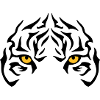The tiger's gaze