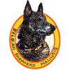 belgian shepherd malinois black