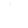 Fischkopp Fisch kopp Fischkopf