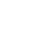 Bone vertebrae