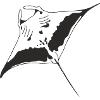 Manta1.black.outline