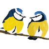 jz.birds blue tit bird design