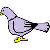taube