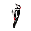 jz.birds woodpecker bird design