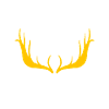 HUNTING