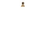 Meerkat Gift