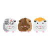 Trois petits cochons d'Inde mignons
