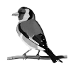 jz.birds Goldfinch bird design illustration