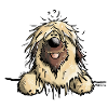 Mignon Briard
