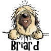 Funny Briard