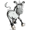 Running Donkey