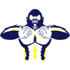gorilla_2