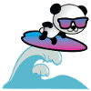 Surfing Panda