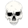 skull skull