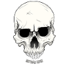 Skull Skull