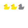 Canard canard gris canard