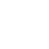 Viking ship