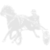 Trotting Horse Racing