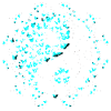 Yin Yang Butterfly