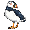 Iceland flag puffin gift