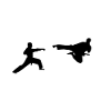 KARATE t-shirt