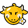 Smiley Cow