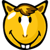 Smiley Horse