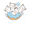 Conception drôle de chats