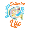 Saltwater fishing saltwater fishing