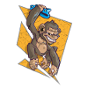 Bouldering Monkey Climbing Climbing