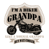 Grandpa grandpa grandchildren motorcycle