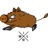 Funny boar