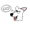 Weisser Schweizer Schäferhund