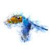 parrot