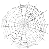 Smiley Spiderweb