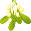 Smiley Viscum