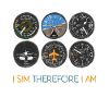 I Sim Therefore I Am Flight Simulation Hobby