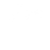 fish skeleton