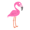 flamant