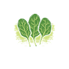 Spinach is always the answer