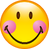 Smiley Glossy Blush