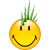 Smiley Punk