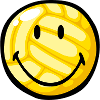 Smiley Volleyball