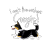 corgiwithout6