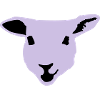 sheep, lamb